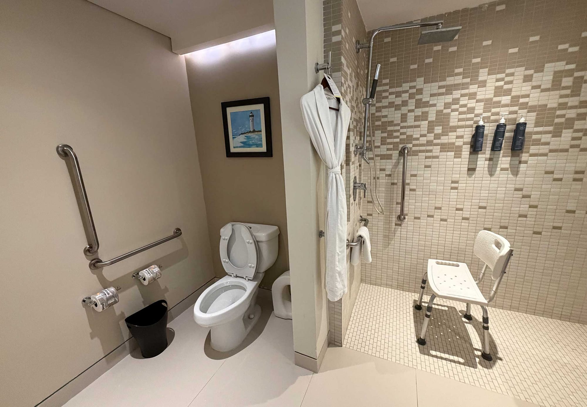 Toilet with grab bars.