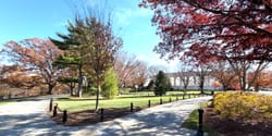Trees at Arlington National Cemetery in fall colors, with paved pathways.