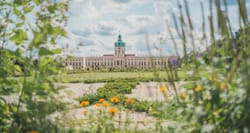 Large palace seen through flowery grasses in the distance.