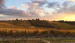 PHOTO: Gaiole in Chianti.