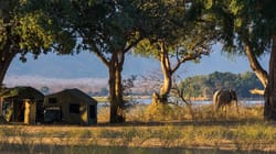 An elephant exploring the area around the group's camping tent in Africa