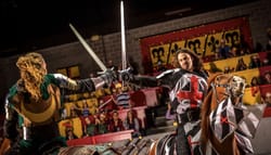 Wheelchair accessible Medieval Times dinner in Chicago Schaumburg