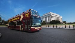 Hop-On Hop-Off Tourist Buses are wheelchair accessible