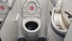 New American Airlines lavatories on Boeing 737 MAX are not wheelchair accessible.