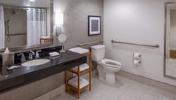 Wheelchair accessible hotel bathroom,