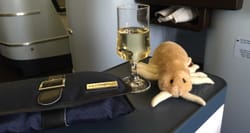 Stuffed louse next to glass of champagne on airplane tray table in business class.