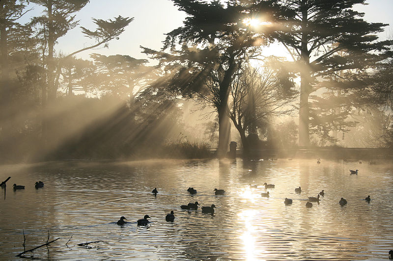 Stow Lake at Golden Gate Park.Photo by Brocken Inaglory.