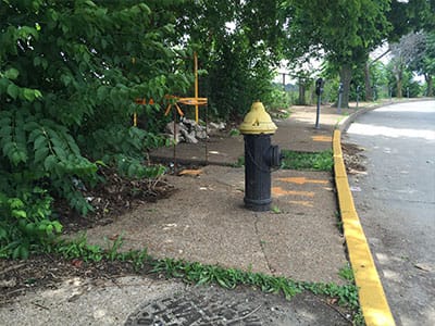 Sidewalk in St. Louis