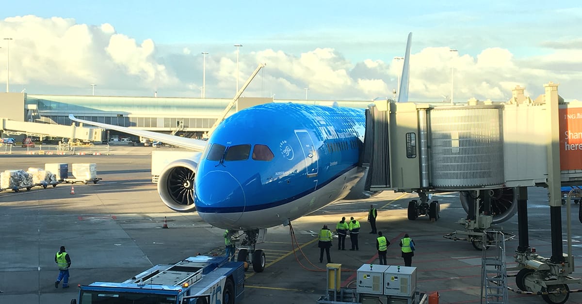 KLM Boeing 787 Dreamliner, Sunflower