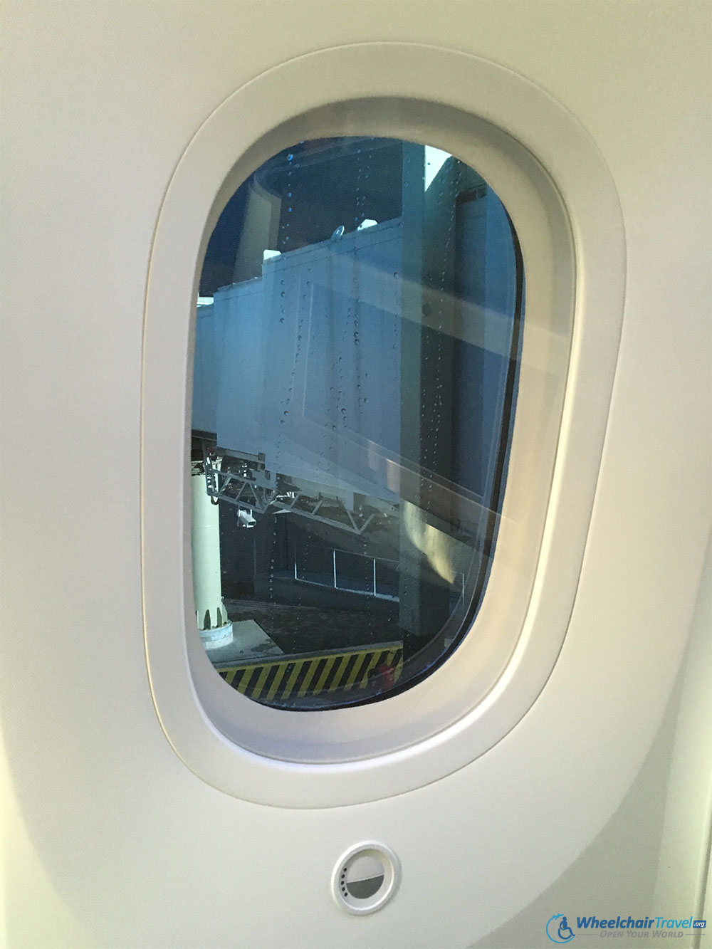 KLM 787 Window