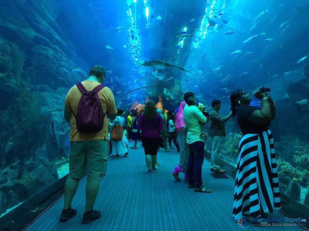 Dubai Aquarium and Underwater Zoo in the Dubai Mall