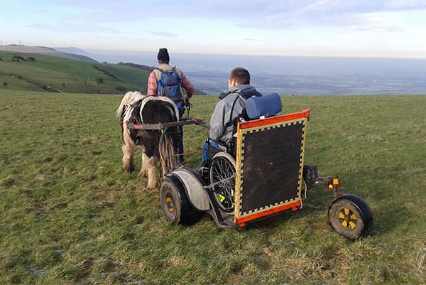 Pony And Wheelchair Carriage Crossing A Meadow In South Downs Way National Park