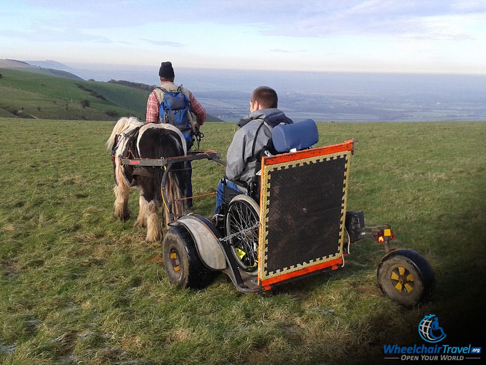 Wheelchair Carriage Attached to a Pony In An English Meadow