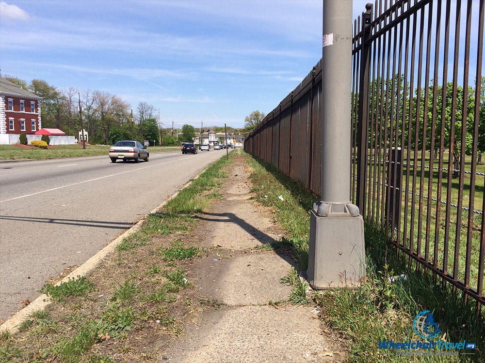 PHOTO DESCRIPTION: Sidewalk in Edison, NJ with grass growing into the sidewalk from all directions.