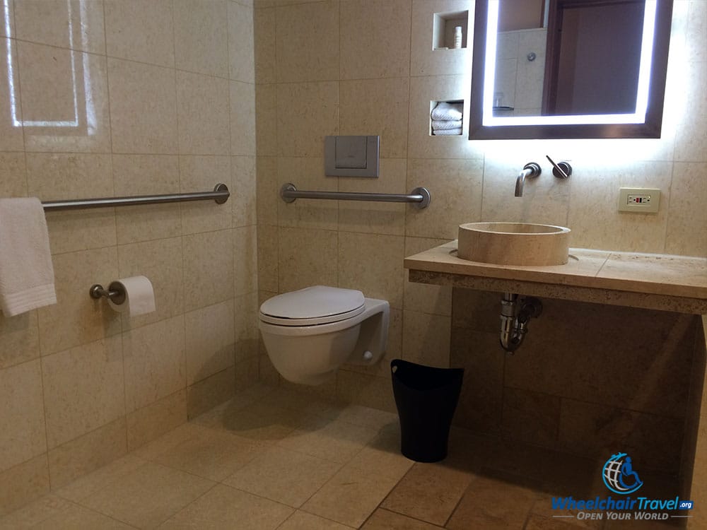 PHOTO DESCRIPTION: Bathroom sink and toilet, surrounded by grab bars.