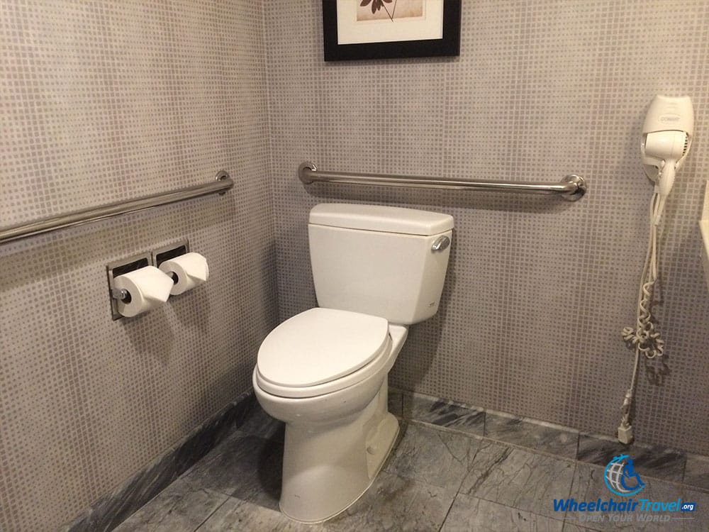 PHOTO DESCRIPTION: Toilet with grab bars on the walls behind and to the left.