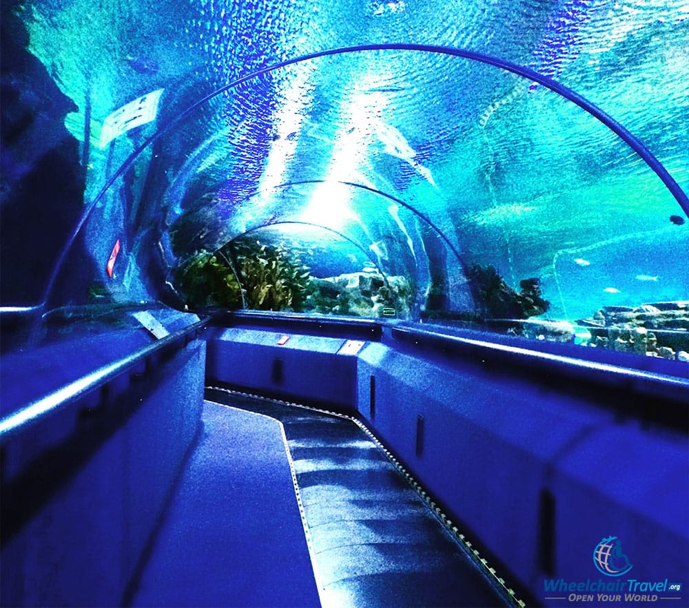 PHOTO DESCRIPTION: Tunnel through aquarium tank at Aquaria in Kuala Lumpur.