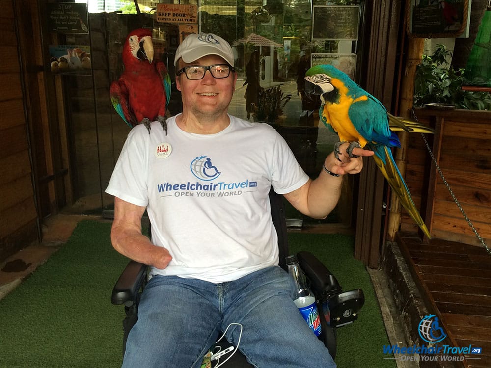 PHOTO DESCRIPTION: John holding two birds at the KL Tower Mini Zoo in Kuala Lumpur.