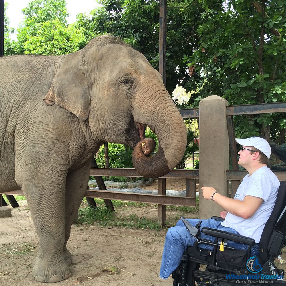 PHOTO DESCRIPTION: John sitting in his wheelchair, feeding an elephant at the Phnom Tamao Wildlife Rescue Center in Cambodia.