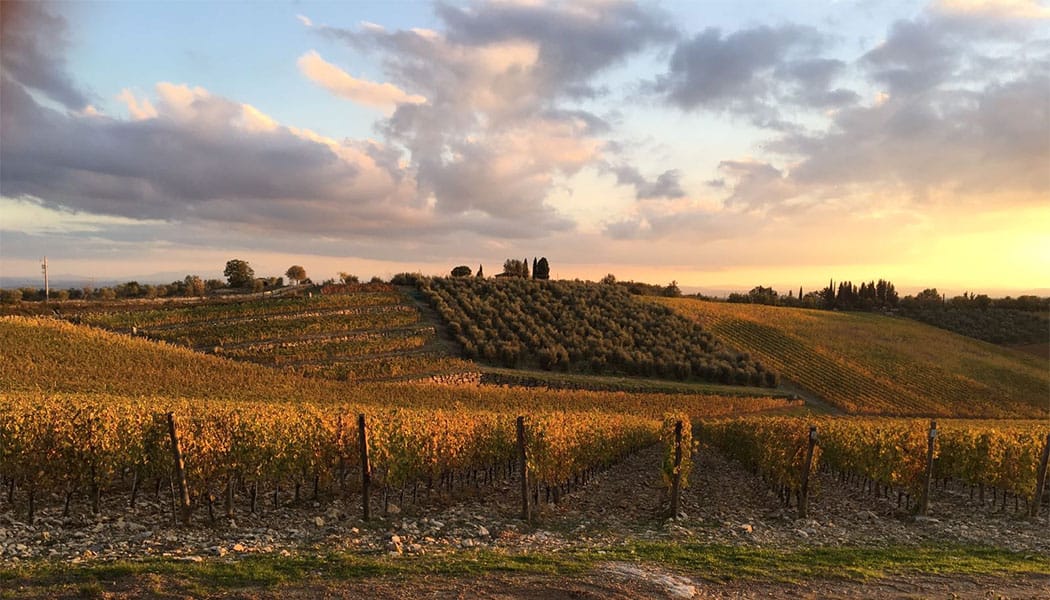 PHOTO: Gaiole in Chianti.