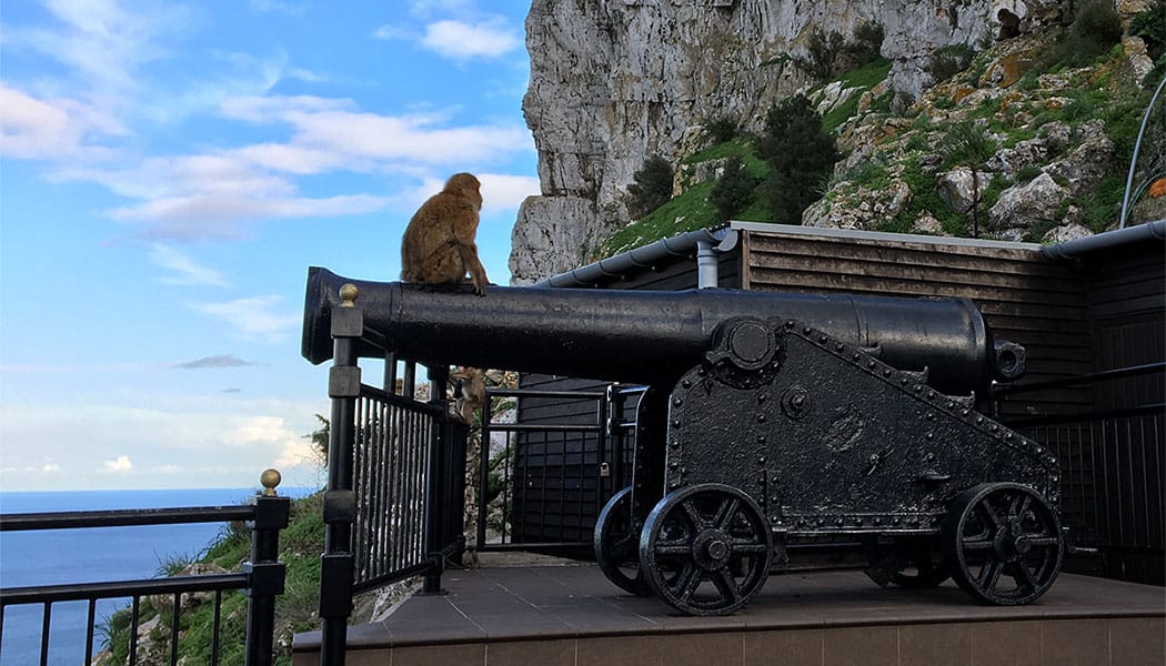 Cannon on the Rock of Gibraltar