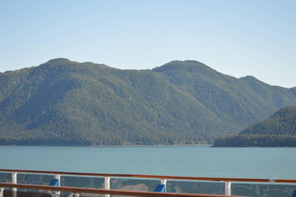 View from ship into Tracy Arm Fjord