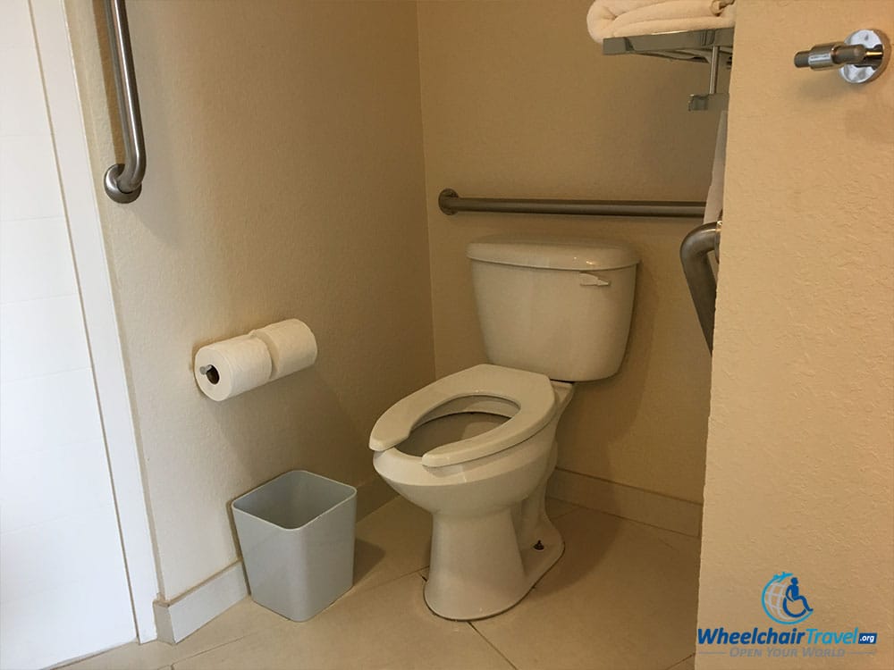 Toilet with accessible grab bars