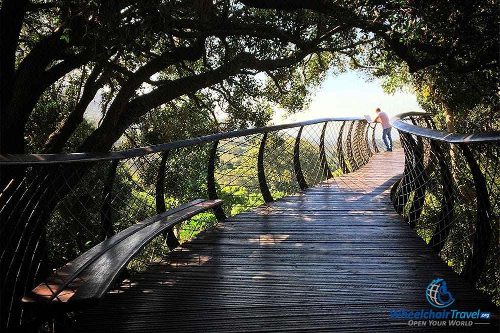 Boomslang canopy bridge at Kirstenbosch Botanical Gardens.