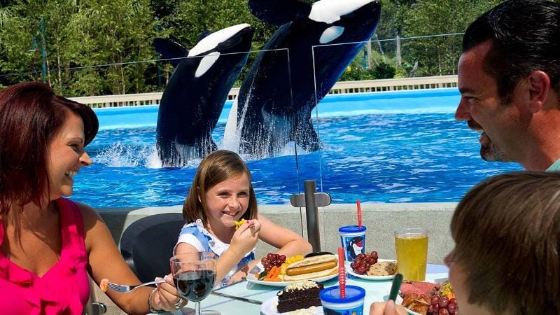 Save on admission to SeaWorld Orlando Black Friday 2017