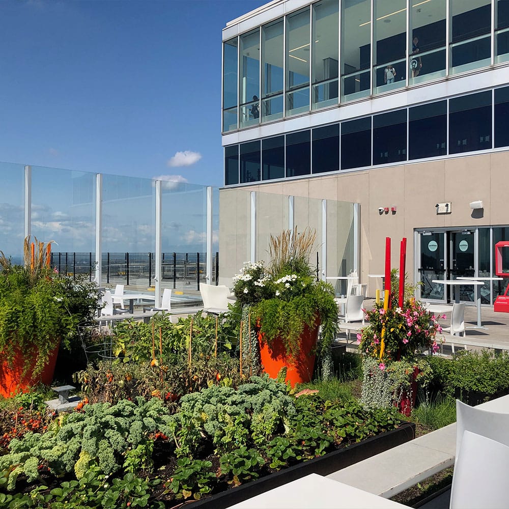 Place Ville Marie Observatory rooftop deck.