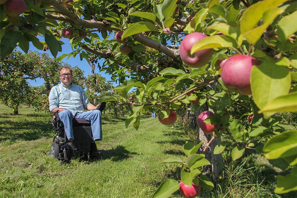 Exploring an apple orchard.