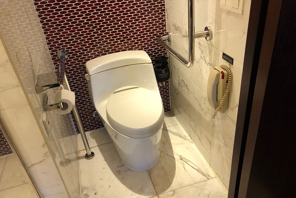 Toilet with accessible grab bars.