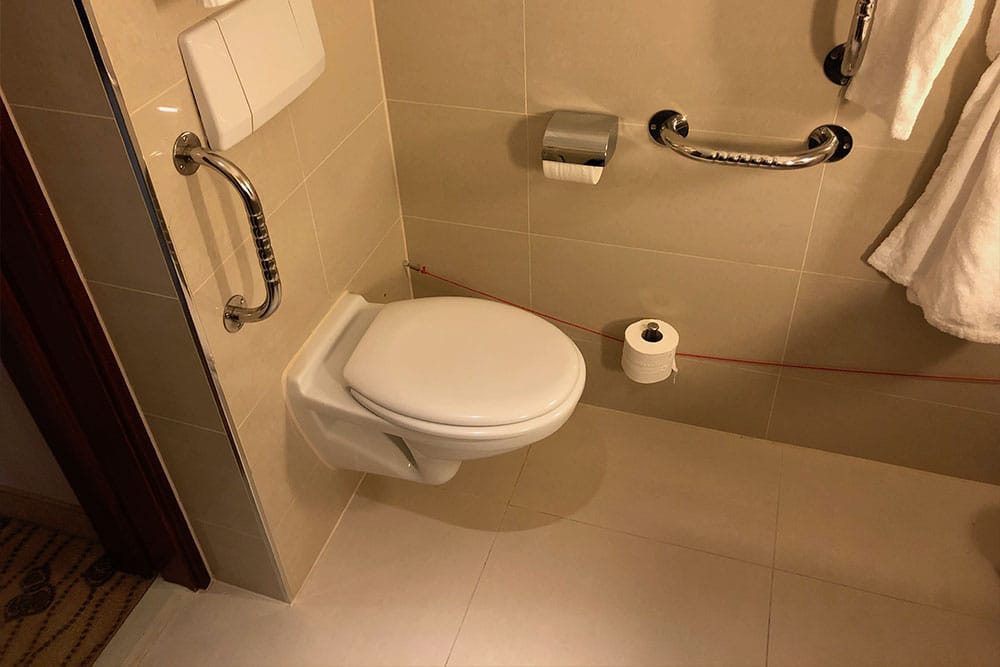 Toilet with grab bars.