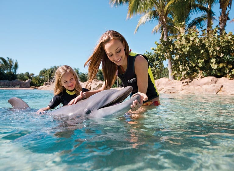 SeaWorld dolphin experience.