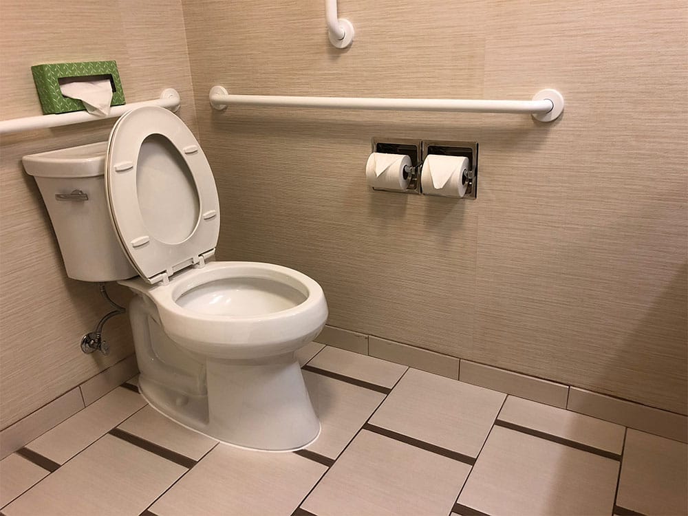 Toilet with grab bars.