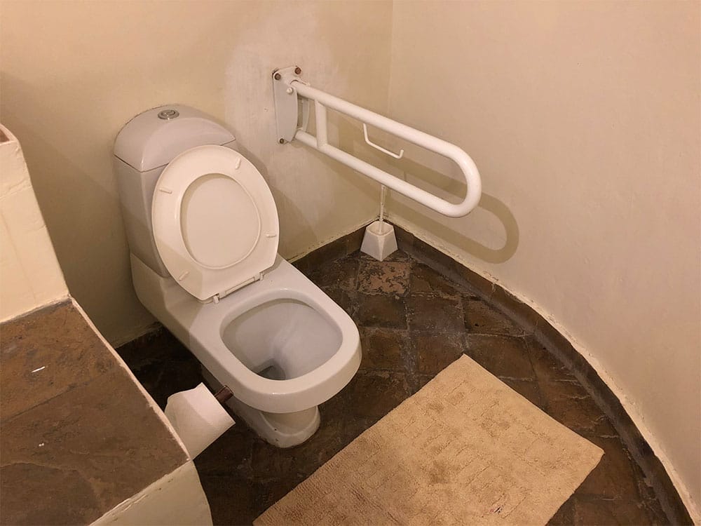 Toilet with grab bar.