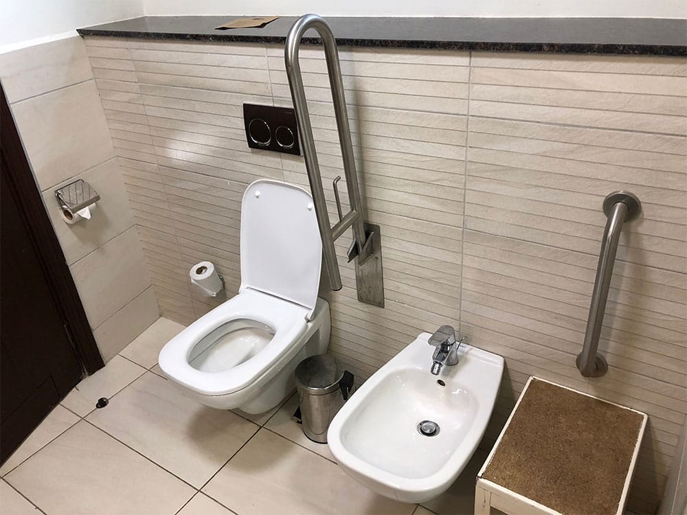 Toilet and bidet with grab bar.