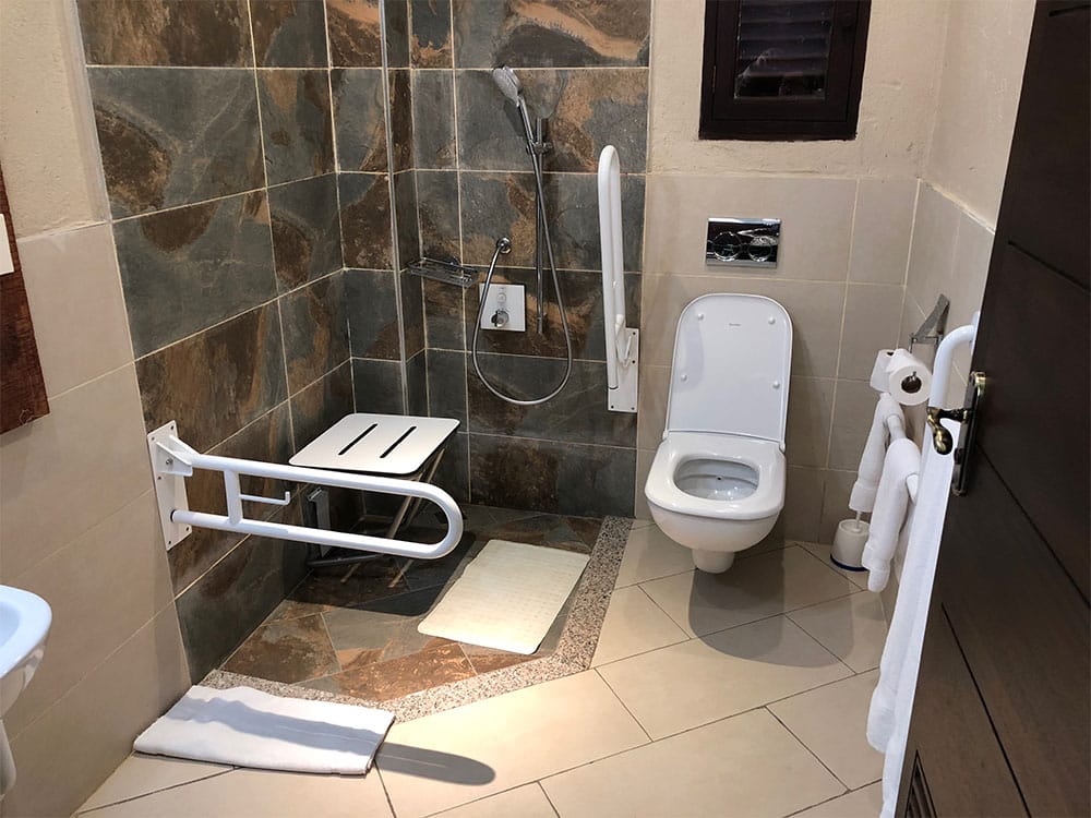 Roll-in shower and toilet with grab bars.