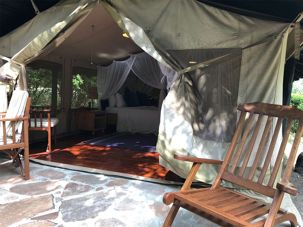 Accessible tent at Sarova Mara Camp.