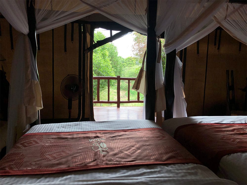 Looking out onto the patio.