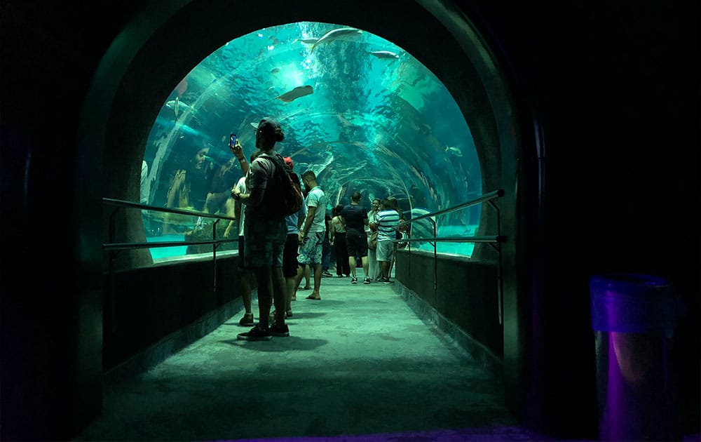 Tunnel through aquarium tank at AquaRio.