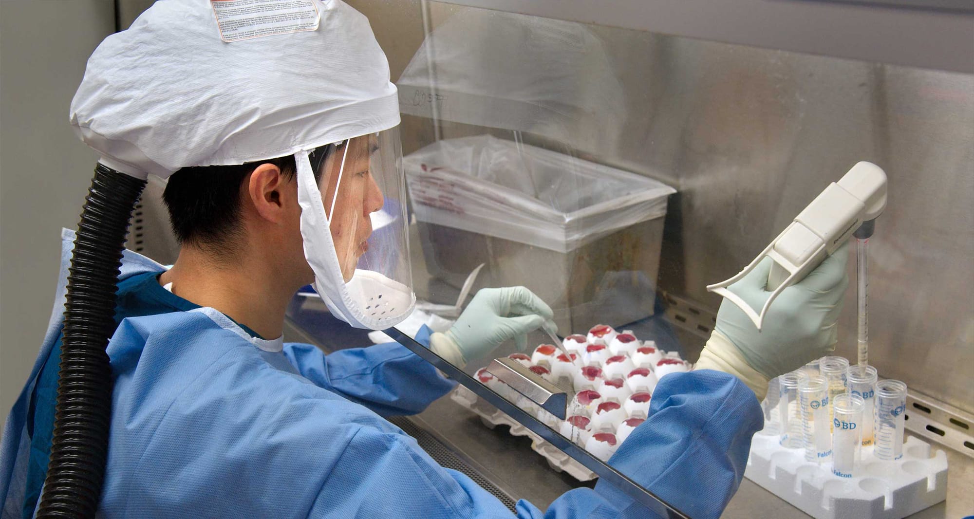 Scientist at CDC laboratory.