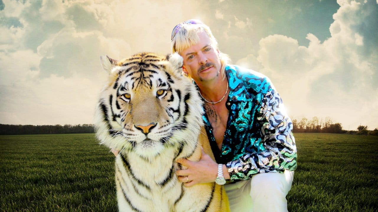 Blonde haired man in a colorful shirt posing with a large tiger in a field.