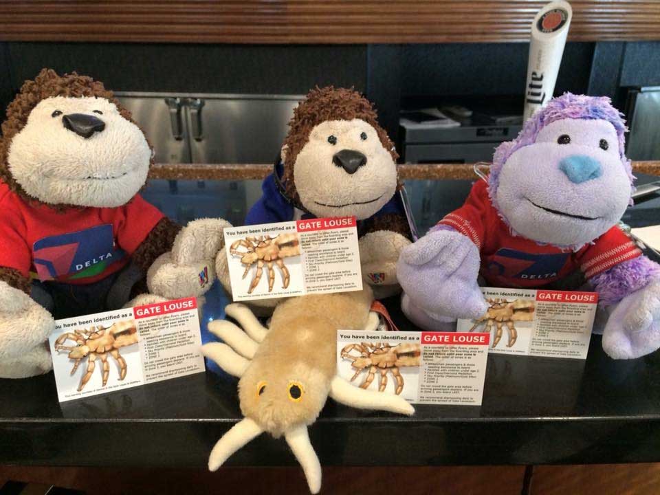 Stuffed louse pictured with three stuffed monkeys at a Delta Sky Club.