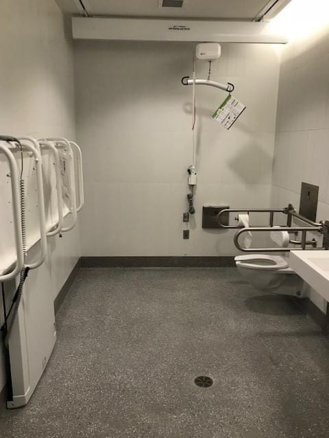 Bathroom with adult changing table, toilet with grab bars and hoist.