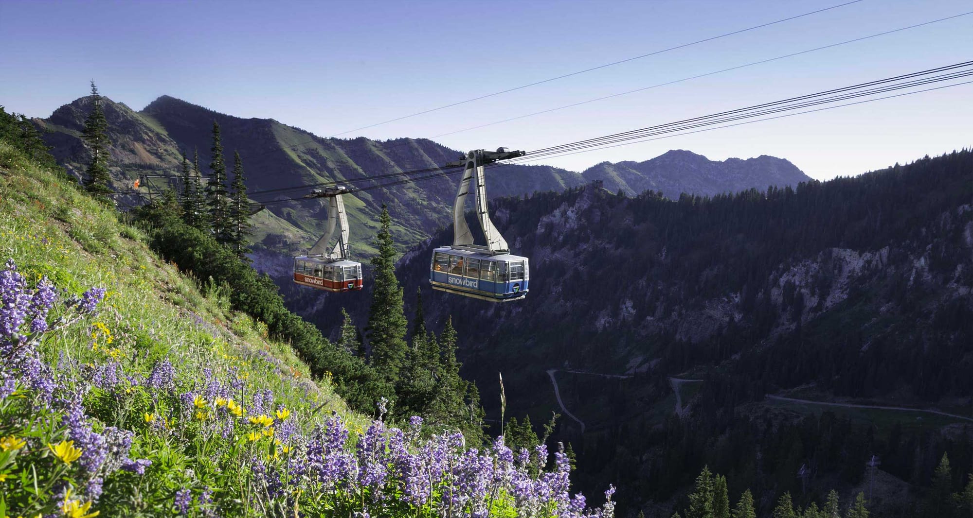 Cable car over Salt Lake City mountain.