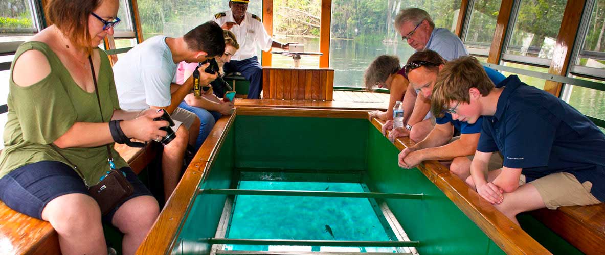 People looking down through the glass bottom boat.