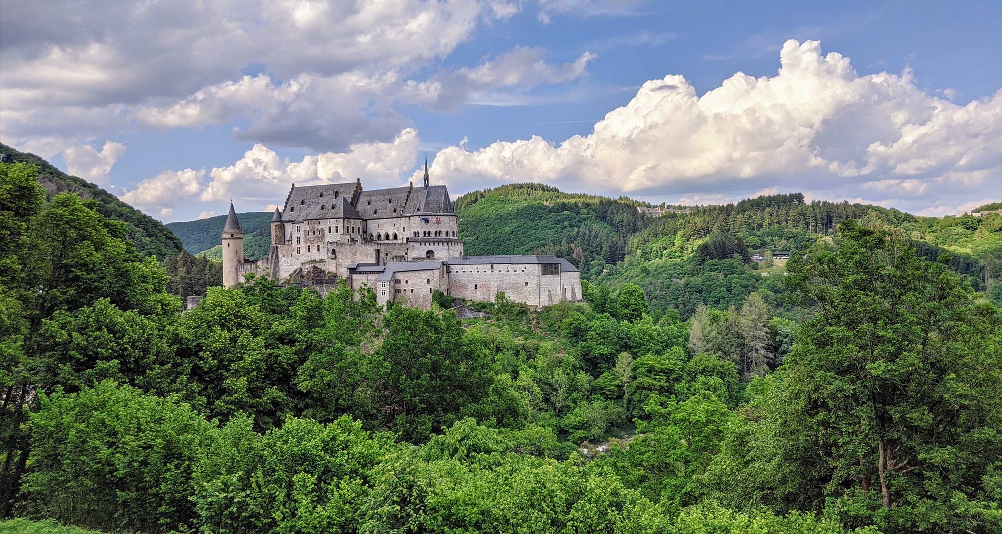 Castle amid a dense forest.