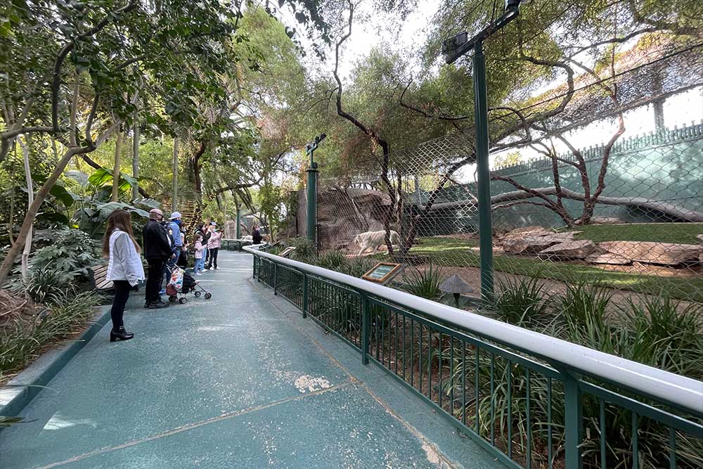 White tiger enclosure and path through garden.