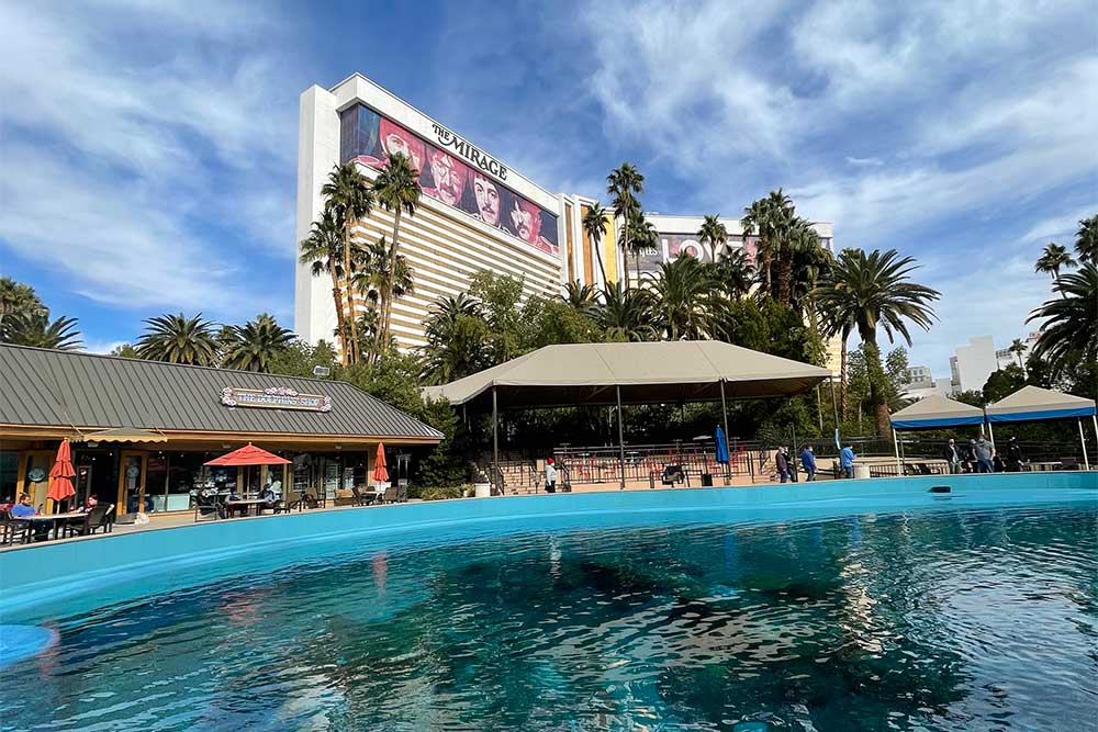 Dolphin tank with Mirage hotel tower in the background.